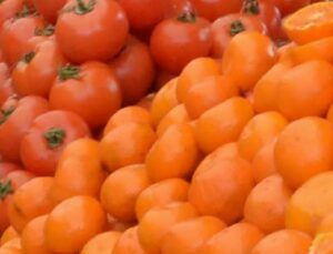 İstanbulluların 2002’de tercihi domates ve portakal oldu