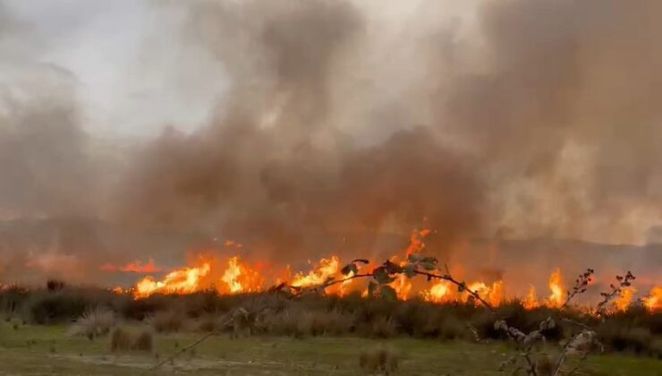 İznik Gölü’nde sazlık alanda korkutan yangın