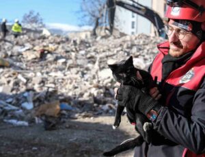 Kahramanmaraş’ta 174 saat sonra enkazdan ‘Ardıç’ isimli kedi kurtarıldı