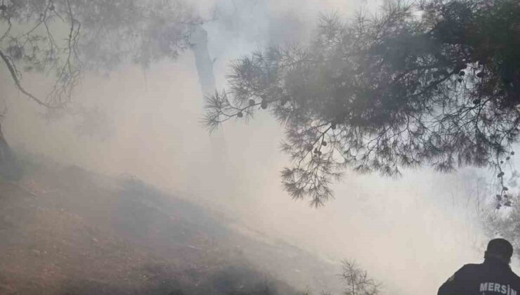 Mersin’de orman  yangını, kontrol altına alındı