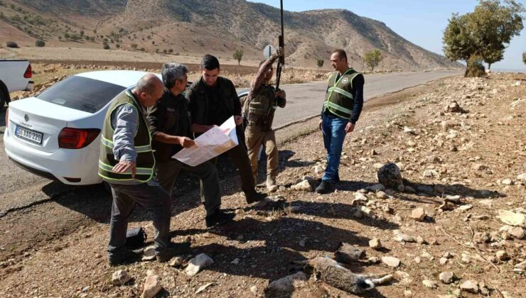 Siirt’te depremden etkilendiği değerlendirilen yaban hayvanlarının korunması için av yasağı başladı
