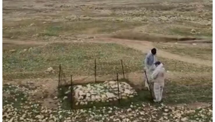 Irak’ta terör örgütü DEAŞ’ın katlettiği Yezidilere ait toplu mezar bulundu