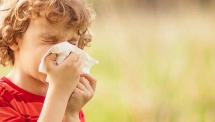 Alerjik çocuklar için 14 öneri
