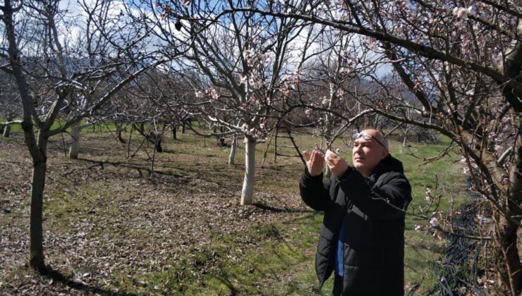 Beyşehir’de ekili alanlar ve meyve bahçelerinde hastalık taraması