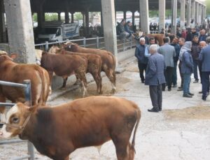 Diyarbakır’da SAT-2 serotipine karşı 100 binin üzerinde hayvan aşılandı