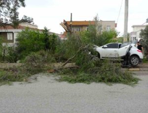 Manavgat’ta kontrolden çıkan otomobil ağaca çarptı: 1 yaralı