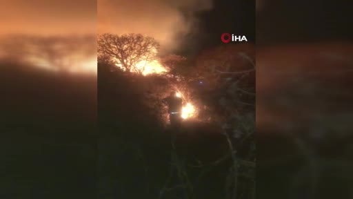 Meksika’da 7 eyalette orman yangını: 2 bin 520 hektardan fazla alan kül oldu