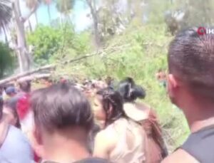 Meksika’da ağaç devrilmesi sonucu 1 bebek öldü, 12 kişi yaralandı