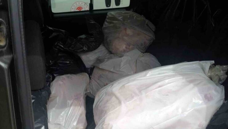 Menteşe’de 563 kilo kaçak et yakalandı