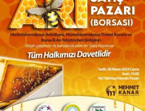 Türkiye’nin ilk arı pazarı Bursa Mustafakemalpaşa’ya kurulacak