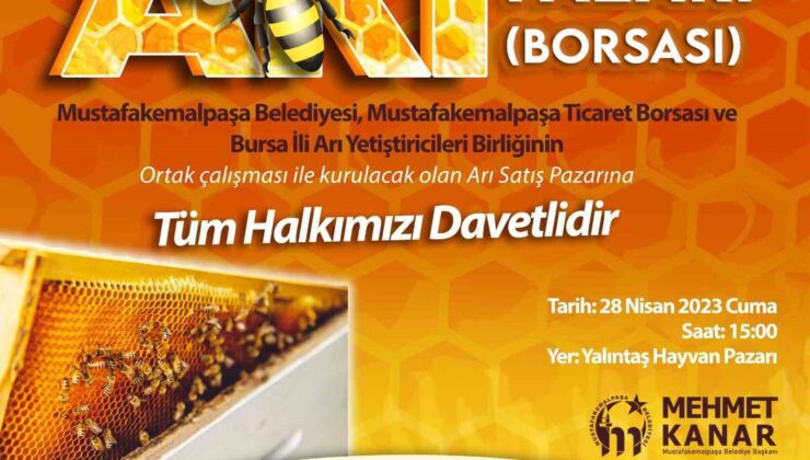Türkiye’nin ilk arı pazarı Bursa Mustafakemalpaşa’ya kurulacak