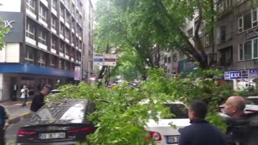 Ankara’da 3 aracın üzerine ağaç devrildi