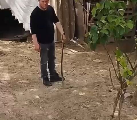 Bursa’da bahçesine giren yılanı elleriyle yakaladı