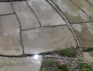 Çiftçilerin su dolu tarlalarda ’çeltik ekimi’ gecikmeli başladı