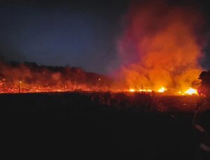 Kanada’da orman yangınları 110 farklı noktada devam ediyor