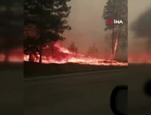 Rusya’da çıkan orman yangını barut deposuna sıçradı