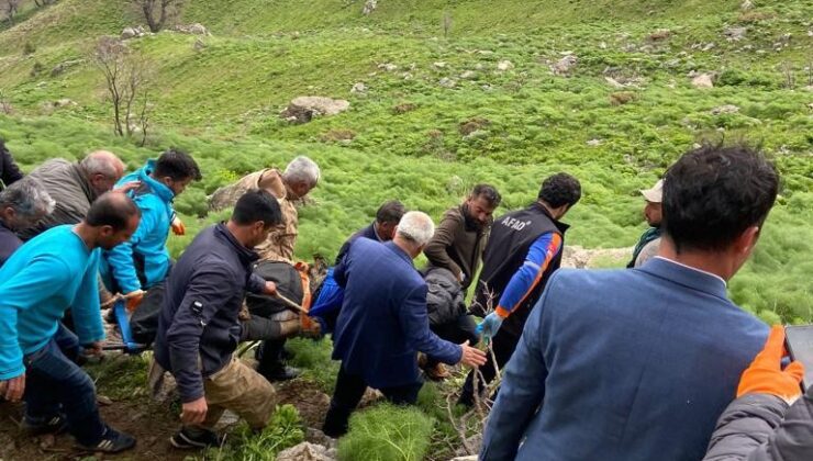 Siirt’te yaban bitkisi toplarken kayalıklardan düşen 60 yaşındaki adam öldü