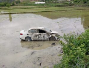Sinop’ta otomobil çeltik tarlasına uçtu: 1 yaralı
