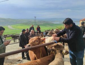 Yozgat’ta canlı hayvan pazarlarında şap hastalığına karşı sıkı tedbirler sürüyor