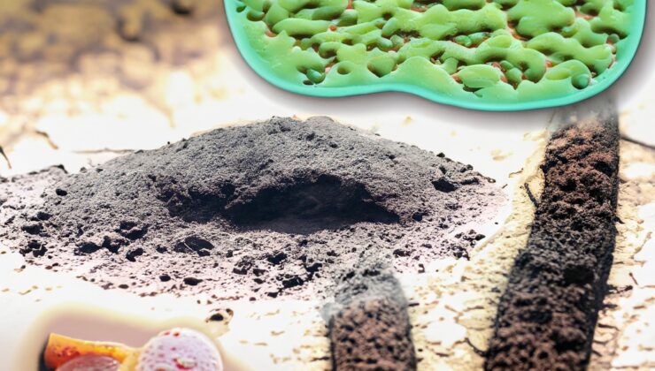 Toprakta Yaşayan Bakterilerin Sebep Olduğu Hastalıklar Nelerdir?