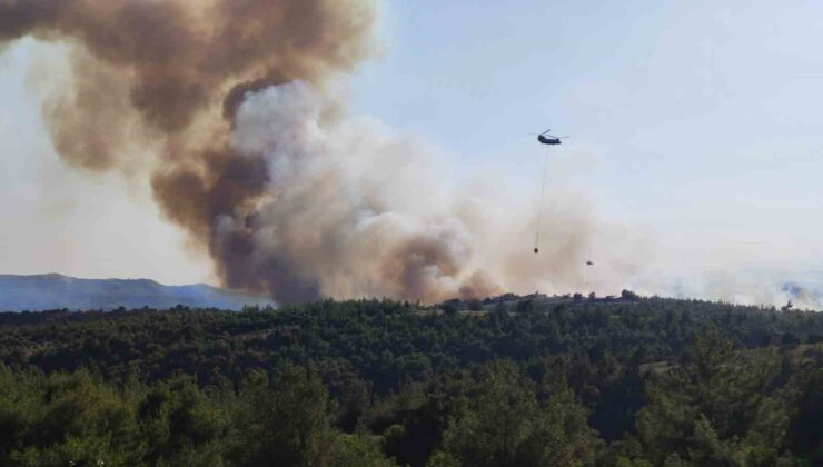 Adana’da orman yangını: Havadan ve karadan müdahale başladı