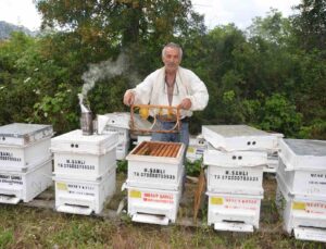 Antalya’da arı kovanlarının yeni adresi bin 960 metre rakımlı yaylalar