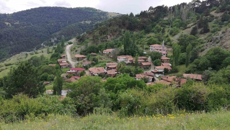 Bu köyde sandıktaki tüm oylar Cumhurbaşkanı Erdoğan’a çıktı