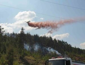 Bursa Valiliği, ormanlarda ateş yakmayı yasakladı