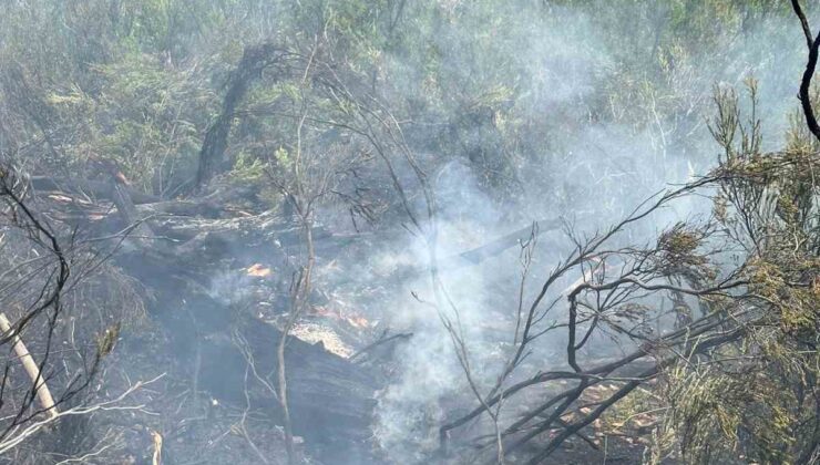 Fethiye’de çıkan orman yangını söndürüldü