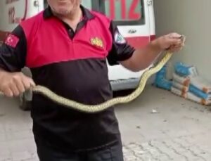 Hastane morgu önünde yılan paniği