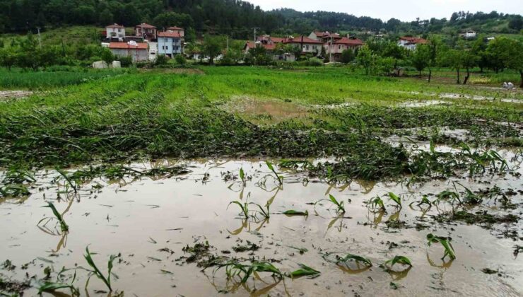 Hisarcık’ta sağanak yağış sonrası tarım arazileri sular altında kaldı