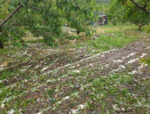 Kuraklıktan endişe eden çiftçiyi dolu ve yağışlar vurdu