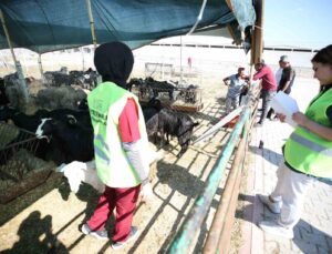 Meram’daki hayvan satış alanında kurban hareketliliği