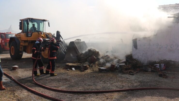 Sakarya’da besi çiftliğinde yangın: 1 kişi dumandan etkilendi
