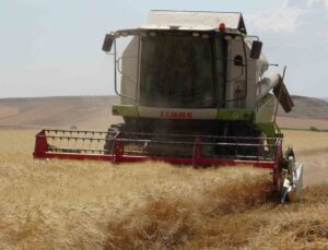 Siirtli çiftçinin 310 bin dekar buğday tarlasından beklentisi 160 bin ton üzeri