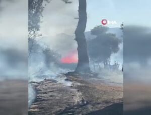 Adana’da ikinci orman yangını, ekipler müdahaleye başladı