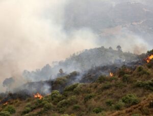 Akdeniz’deki orman yangınlarında en az 40 kişi hayatını kaybetti