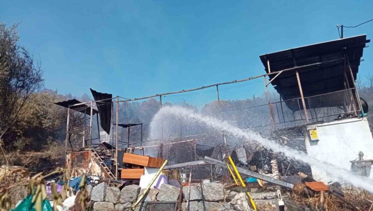 Aliağa’daki yangında 4 ev hasar gördü, 1’i tamamen yandı