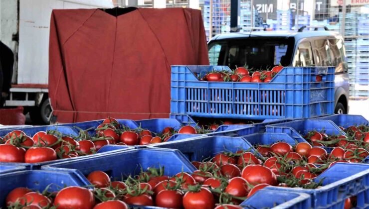 Antalya’da domates miktarı azaldı, fiyat endeksi arttı
