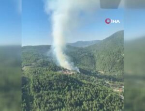 Antalya’da orman yangını kontrol altına alındı, 1.5 hektar alan zarar gördü