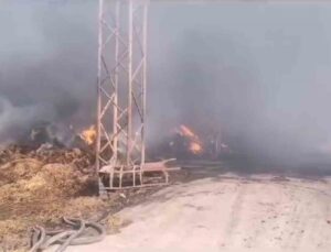 Balıkesir’de çiftlikteki yangına müdahale devam ediyor