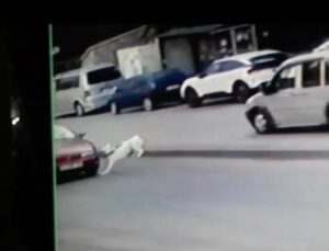 Başkentte köpeğe çarpıp kaçan sürücü güvenlik kameralarına yakalandı