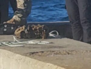 Boğaz’da salyangoz avlarken top mermisi buldu