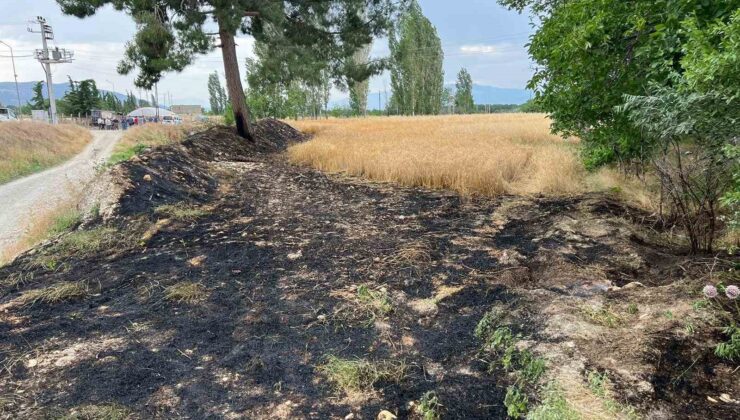 Burdur’da buğday tarlasında çıkan yangın itfaiyenin erken müdahalesiyle söndürüldü