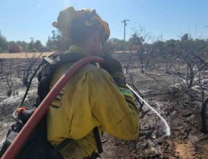 California’da orman yangını: 3 bin 400 hektar alan yandı