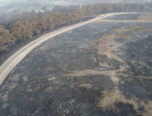 Çanakkale’deki orman yangınına 38. saatte ekipler müdahale etmeye devam ediyor