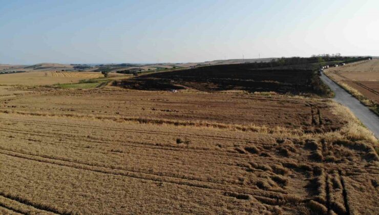 Çatalca’da 200 dönümlük buğday tarlası alev alev yandı