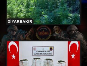 Diyarbakır’da 357 bin kök Hint keneviri, 86 kilo kubar esrar ele geçirildi