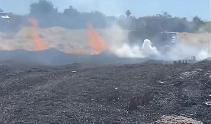 Eskişehir’de 60 dönüm tarım arazisi yangında zarar gördü