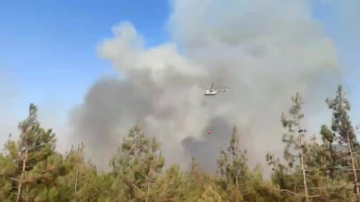 Gaziantep’te korkutan orman yangını: Havadan ve karadan müdahale ediliyor